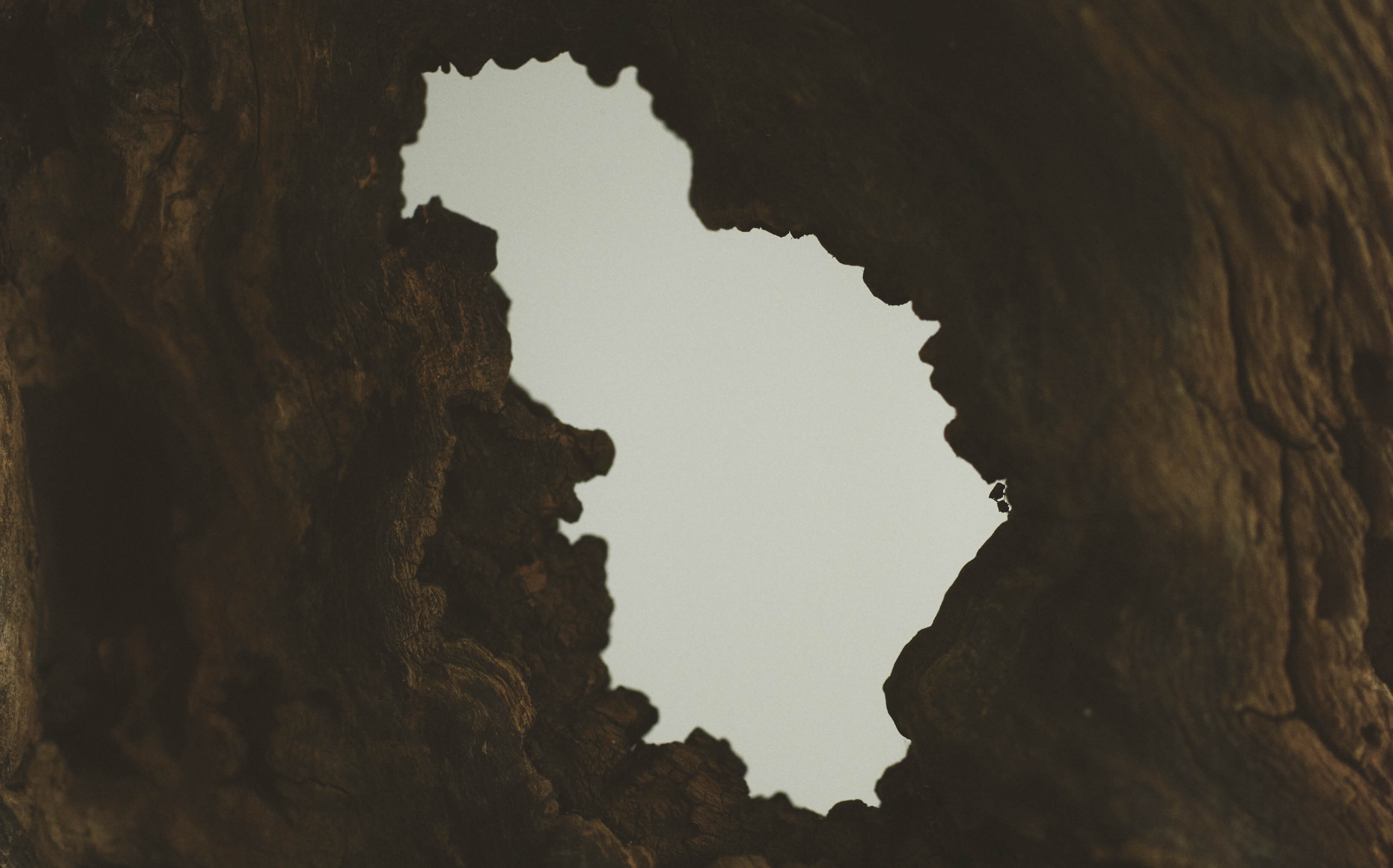 SHIPS for WOMEN 2024 Winter | Homage to the Tradition