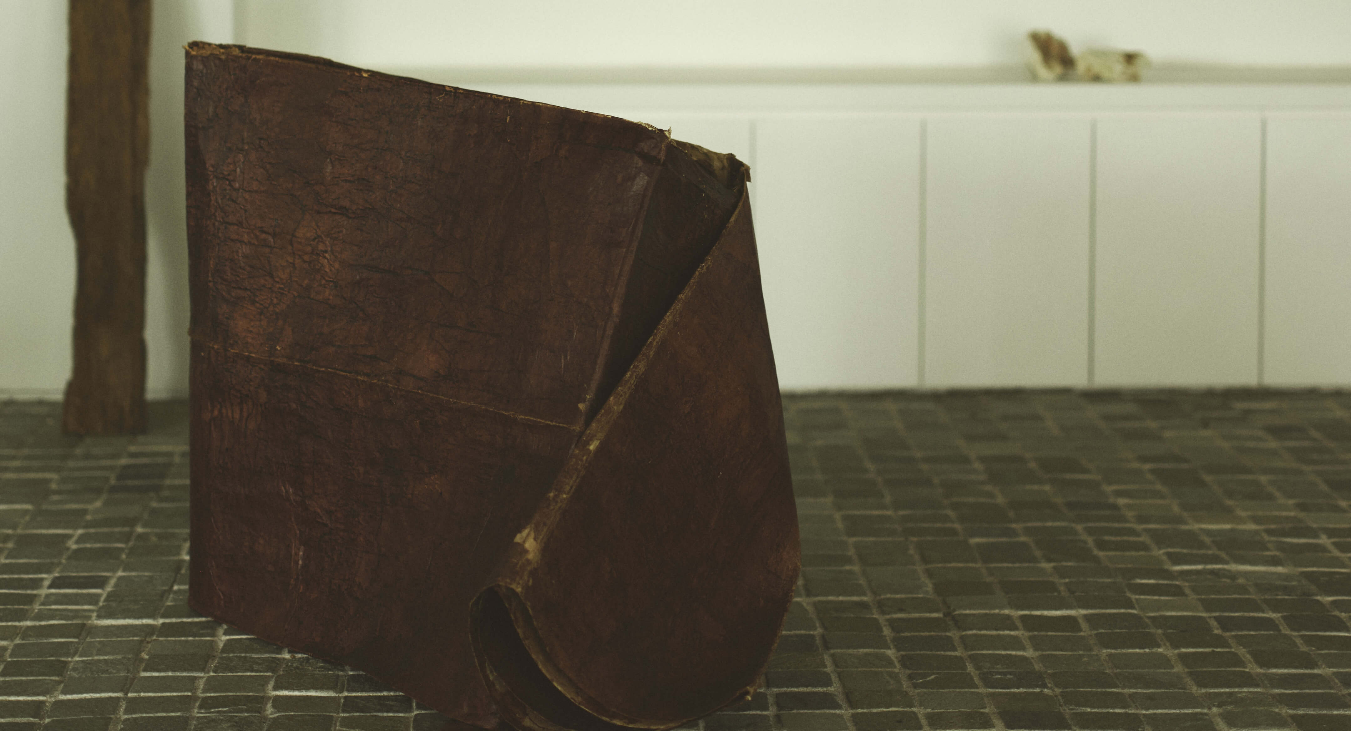 SHIPS for WOMEN 2024 Winter | Homage to the Tradition