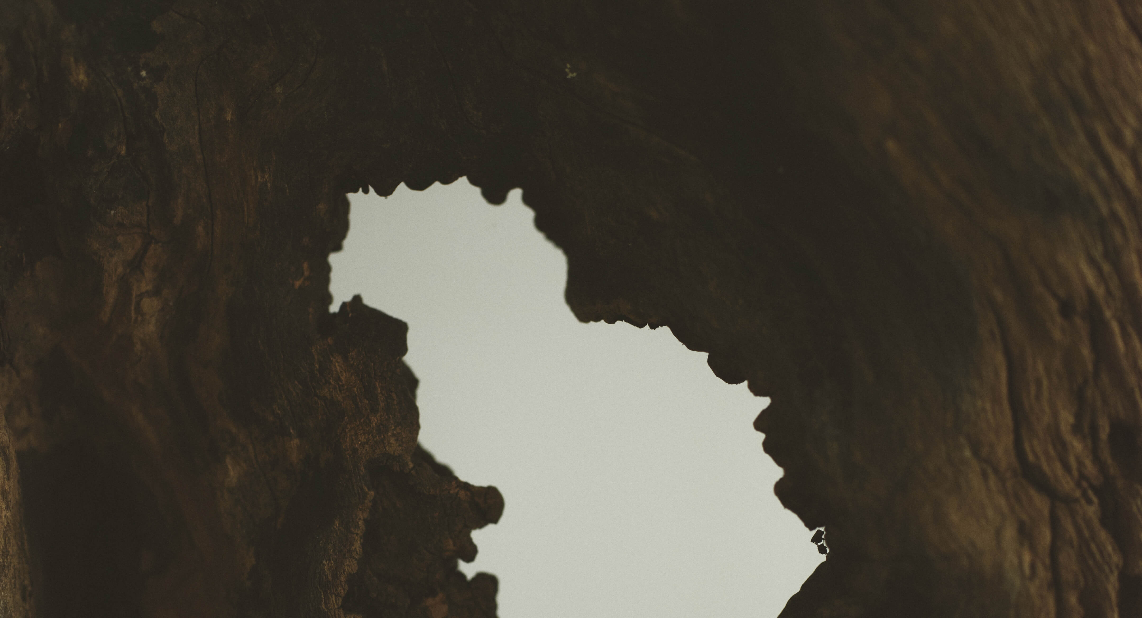 SHIPS for WOMEN 2024 Winter | Homage to the Tradition